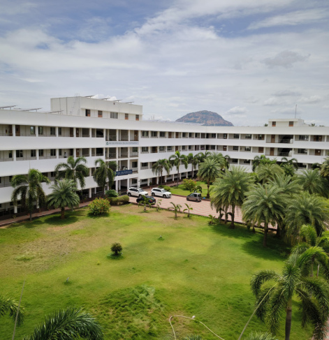 Students participating in an outdoor yoga class.