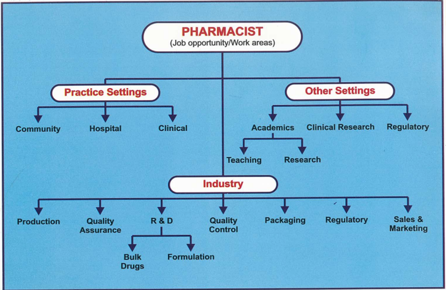 essay on scope of pharmacy